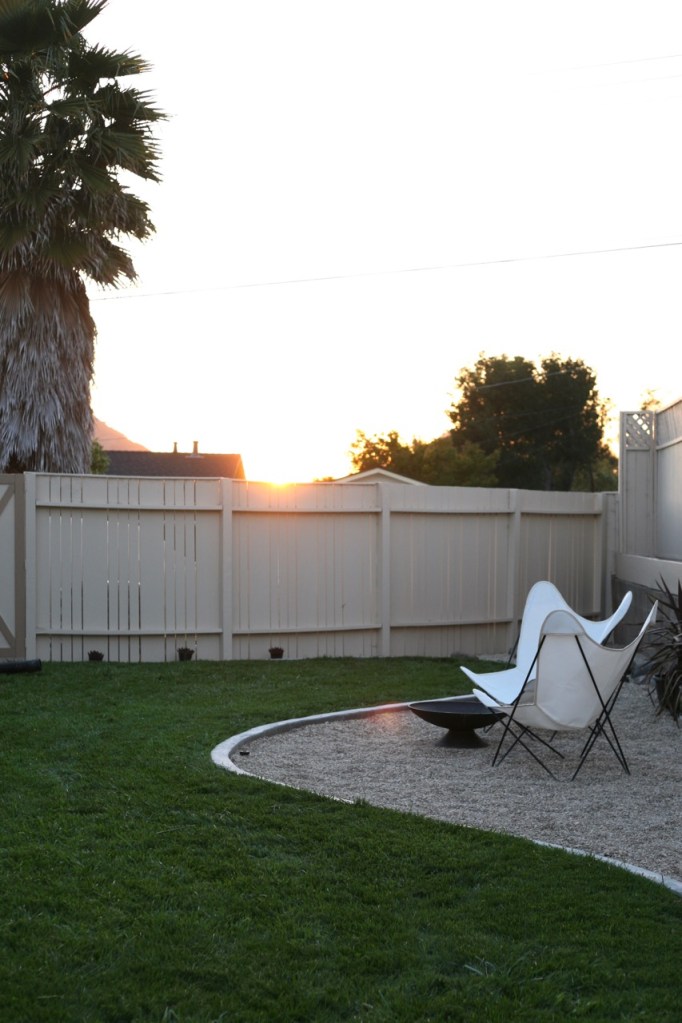 mid century yard backyard palm tree