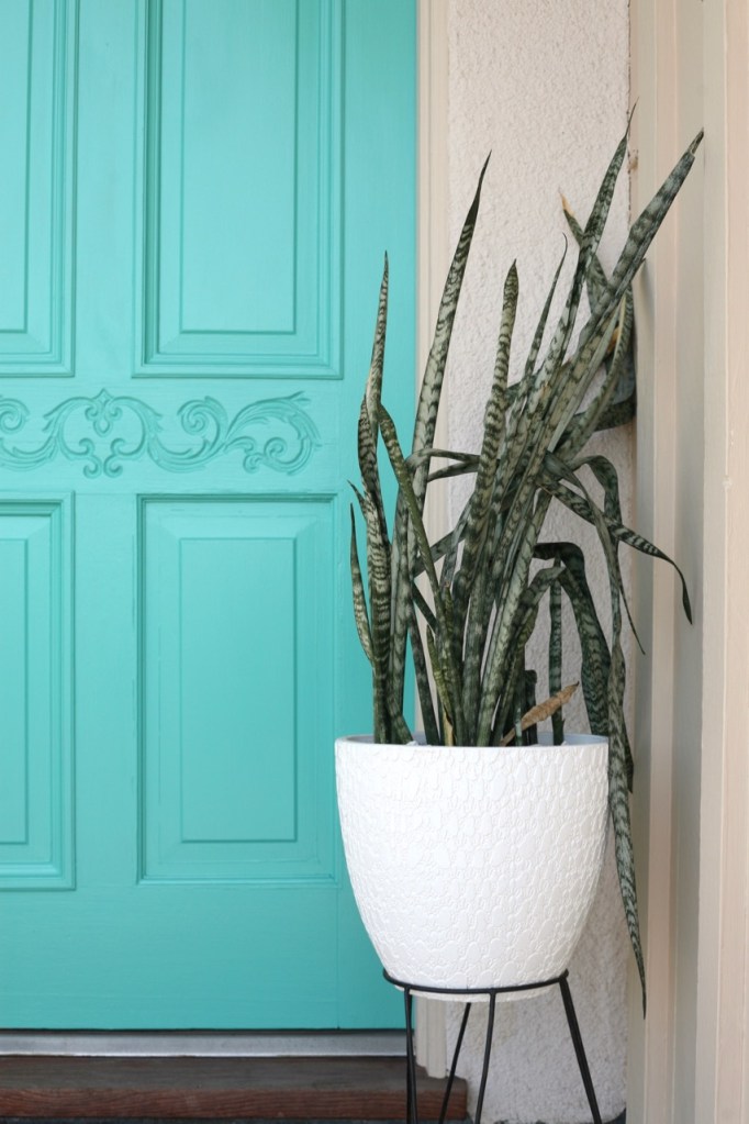 mid century bullet planter porch Behr Water Park waterpark