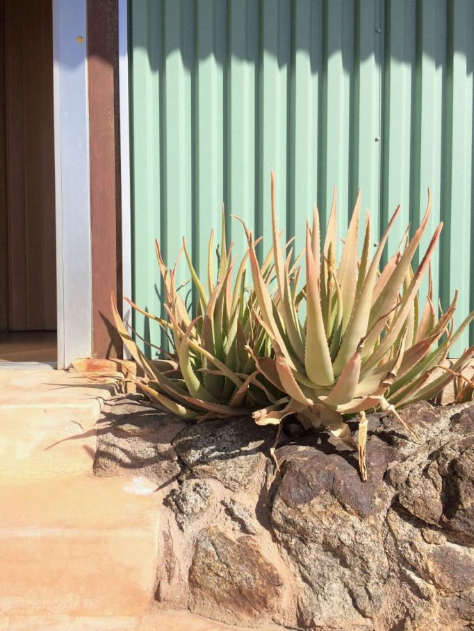 Frey House II 2 Albert Frey architecture Palm Springs mid century modern