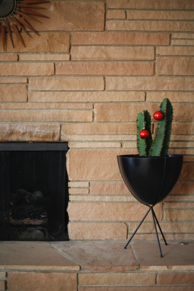 christmas ornaments on cactus